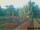 Webcam in Pallini, 5.5 mi away