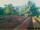 Webcam in Pallini, 42.2 mi away