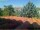 Webcam in Pallini, 5.5 mi away