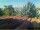Webcam in Pallini, 23.2 km entfernt