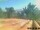 Webcam in Pallini, 102.5 km