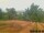 Webcam in Pallini, 29.3 mi away