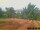 Webcam in Pallini, 29.3 mi away