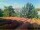 Webcam in Pallini, 37.8 mi away