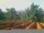 Webcam in Pallini, 5.5 mi away