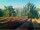 Webcam in Pallini, 14 km