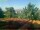 Webcam in Pallini, 15.6 mi away