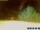 Webcam in Pallini, 13.2 km