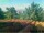 Webcam in Pallini, 5.5 mi away
