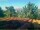 Webcam in Pallini, 5.5 mi away
