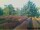 Webcam in Pallini, 5.1 mi away