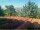 Webcam in Pallini, 14.9 mi away