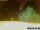 Webcam in Pallini, 22.2 km