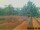 Webcam in Pallini, 34.2 km