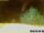 Webcam in Pallini, 13.7 km