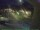Webcam in Bärenstein (Osterzgebirge), 29.6 km entfernt
