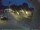Webcam in Bärenstein (Osterzgebirge), 5.1 km entfernt