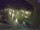 Webcam in Bärenstein (Osterzgebirge), 5.3 km entfernt