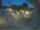 Webcam in Bärenstein (Osterzgebirge), 36.1 mi away