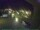Webcam in Bärenstein (Osterzgebirge), 5.1 km