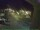 Webcam in Bärenstein (Osterzgebirge), 2.1 mi away