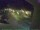 Webcam in Bärenstein (Osterzgebirge), 29.6 km