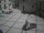 Webcam in Pizzoferrato, 8.6 mi away
