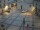 Webcam in Pizzoferrato, 19.6 mi away