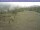 Webcam in Steinach, 20.1 km entfernt
