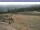Webcam in Steinach, 9.3 mi away