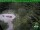 Webcam in Oberhof, 8 mi away