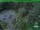 Webcam in Oberhof, 0.8 mi away