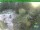 Webcam in Oberhof, 9.4 km entfernt