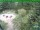 Webcam in Oberhof, 0.8 mi away