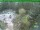 Webcam in Oberhof, 0.1 mi away
