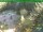 Webcam in Oberhof, 4.3 mi away