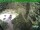 Webcam in Oberhof, 11 km entfernt