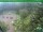 Webcam in Oberhof, 13.2 mi away