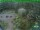 Webcam in Oberhof, 24.3 km entfernt