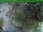 Webcam in Oberhof, 0.8 mi away