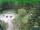 Webcam in Oberhof, 8 mi away