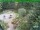 Webcam in Oberhof, 2.7 mi away