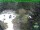 Webcam in Oberhof, 9.4 km