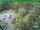 Webcam in Oberhof, 9.4 mi away