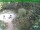 Webcam in Oberhof, 4.2 mi away