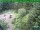 Webcam in Oberhof, 7.4 mi away