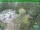 Webcam in Oberhof, 11.8 km