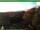 Webcam in Neustadt am Rennsteig, 5.6 mi away