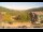 Webcam in Brandmatt, 30.7 km