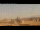 Webcam in Rom, 1.2 km